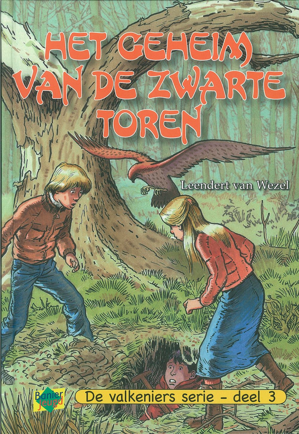 Het geheim van de zwarte toren (3); E-Book